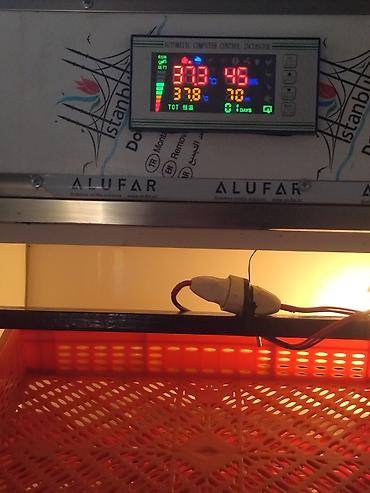 İnkubatorlar: 600 yumurta, Tam avtomat — 4