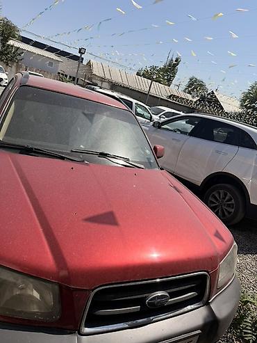 forest: Subaru Forester: 2003 г., 2.5 л, Механика, Бензин, Универсал — 7
