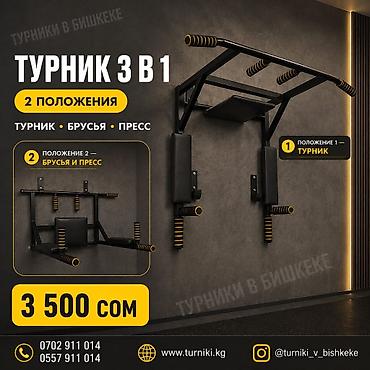Турник, 3 в 1, Настенный, Новый, Самовывоз