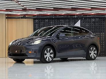 подлокотник на гольф: Tesla Model Y: 2021 г., Электромобиль, Кроссовер — 6