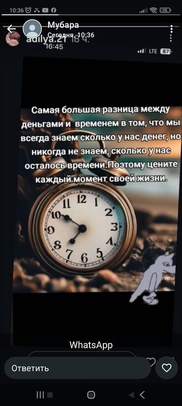 ворота для гаража рулонные: Двери в частный дом, Металл, Бронированная, Китайская, цвет - Коричневая, Б/у