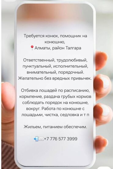 жумуш нянка: Требуется конюх, помощник на конюшню, 
📍Алматы, район Талгара
📲✉️+7 9