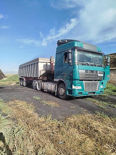 Тягачи: Тягач, DAF, 2003 г., Самосвал — 1