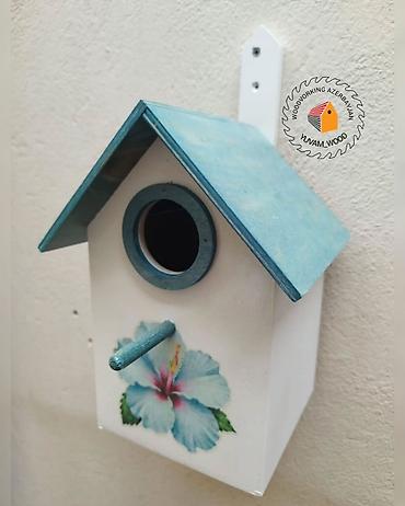 Yuvalar: Quş yuvası — 10