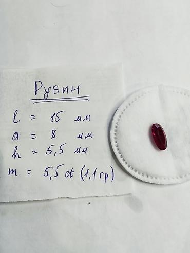 Коаксиальные кабели: Представлен набор коаксиальных кабелей и аксессуаров в прочном кейсе — 14