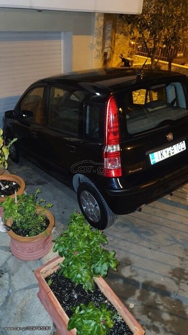Transport: Fiat Panda: 1.2 l | 2009 year | 165000 km. Hatchback