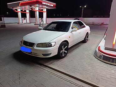 тлк 100: Toyota Camry: 2000 г., 2.2 л, Автомат, Бензин, Седан — 1