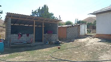 ысык куле: Оштон 30 км жогоруда 80 сотик жерде 6 бөлмөлүү баардык шарты бар үй — 4