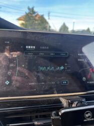 Weltmeister: Weltmeister W6, 2021 г., 83000 км, Передний, В наличии — 7