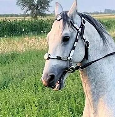 подарки на новый год: Новогодние подарки оригинальные подарки полезные подарки лучшие — 10