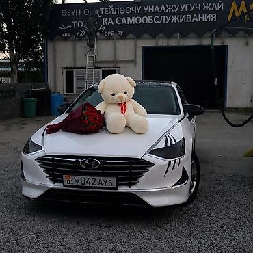 sonata 2009: Hyundai Sonata: 2021 г., 2 л, Автомат, Газ, Седан — 1