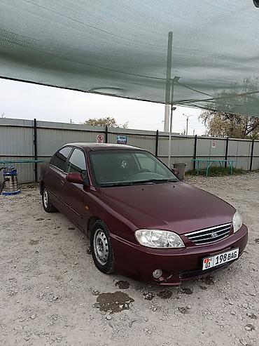 Продажа авто: Kia Spectra: 2008 г., 1.6 л, Механика, Газ, Седан — 6