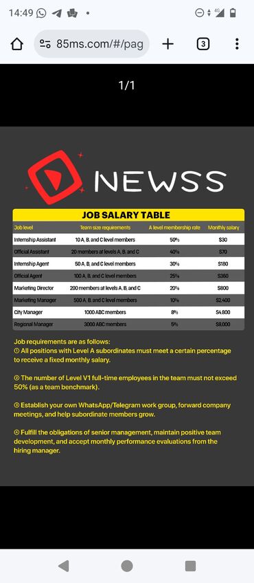 Сетевой маркетинг: Вакансия/партнёрская программа NEWSS Описание: - Платформа NEWSS — 1