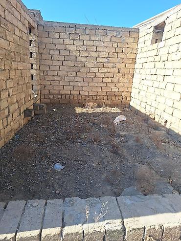 Torpaq sahələrinin satışı: Kənd təsərrüfatı — 6