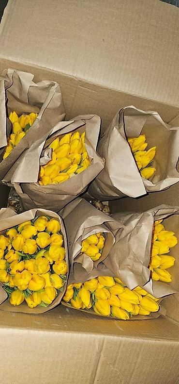 Букеты из живых цветов: В наличии Тюльпаны🌷💐 имеются в ярких и разных цветах . также есть — 3