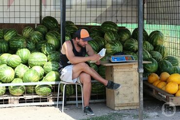 работа на дому для мам в декрете: Дарбыз Сатканга 1 бала керек