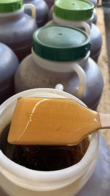 Мёд: Натуральный мёд в канистрах - Продукт: настоящий пчелиный мёд, густой — 4
