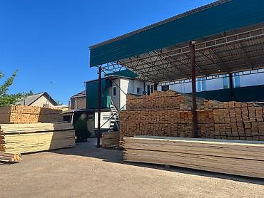 Доски: Лес — 12