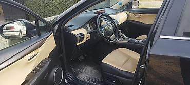 Lexus: Lexus NX: 2018 г., Вариатор, Гибрид — 8