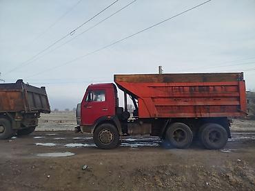 Грузовики: Грузовик — 12