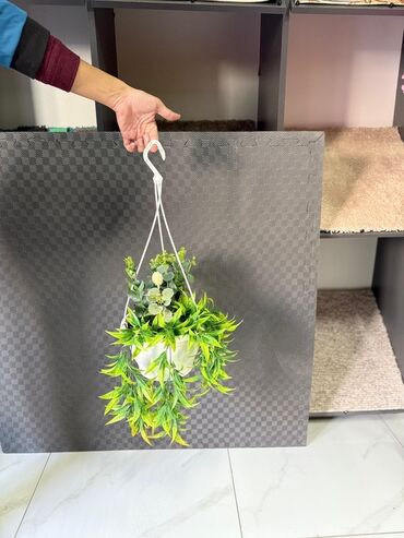 Otaq bitkiləri: Asma saksıda dekorativ yaşıl bitki - Ağ rəngli asma plastik saksı -da lalafo.az — 17 Otaq bitkiləri: Asma saksıda dekorativ yaşıl bitki - Ağ rəngli asma plastik saksı — 17