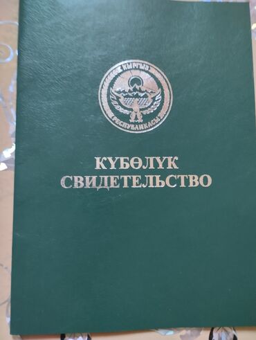 калыс ордо 1: 300 соток, Айыл чарба үчүн, Кызыл китеп