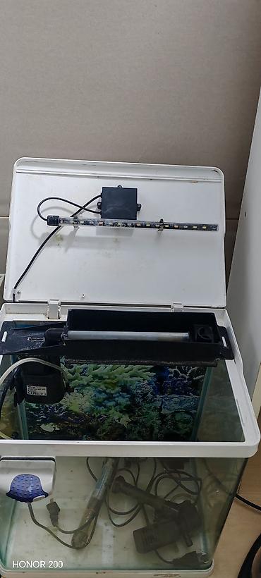 akvarium filterleri: Akvaryum dəsti – tam komplekt Tərkib: - Şüşə akvaryum (üst qapaqla — 2