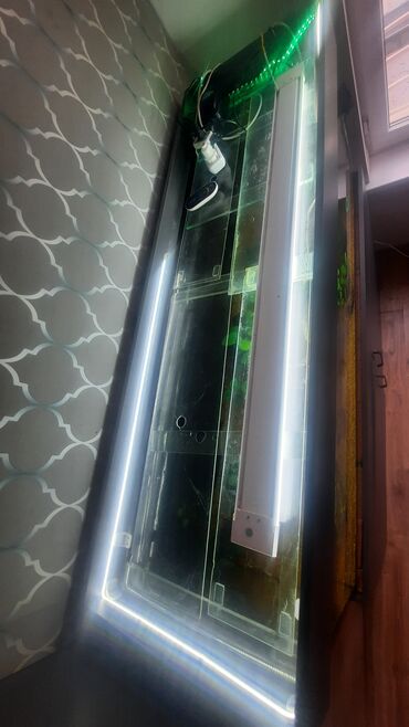 Аквариумы: Продаю запущенный аквариум на 400 л с тумбой в комплекте,из — 11