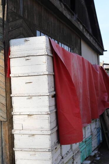 Товары и оборудование для с/х животных: Ульи около 45 комплектов. Рутовская система, корпусные, пригодны для — 18