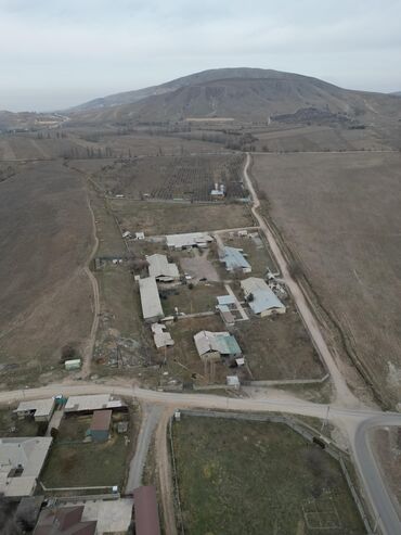 Продажа участков: 290 соток, Красная книга, Тех паспорт, Договор купли-продажи — 6