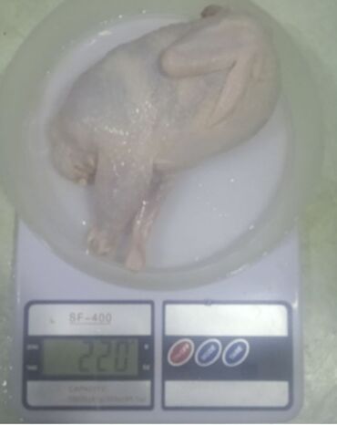 Quş: İnsan sağlamdırsa xoşbəxtdir. Sağlam qalmaq üçün həftədə 3-4 ədəd — 8