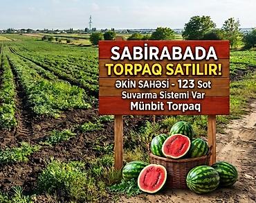 baki kirayə ev: Kənd təsərrüfatı — 1