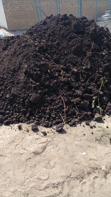 Ağaclar: Hər vaxtınız xeyir olsun dəyərli müştərilərimiz. Bizə vaxt ayırdığınız — 19