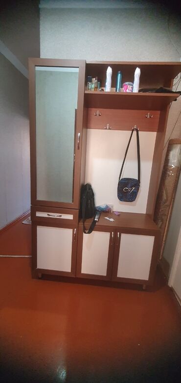 paltar wkaflari: Açılan, 3 qapılı Düz dolab, Dəhliz dolabı
