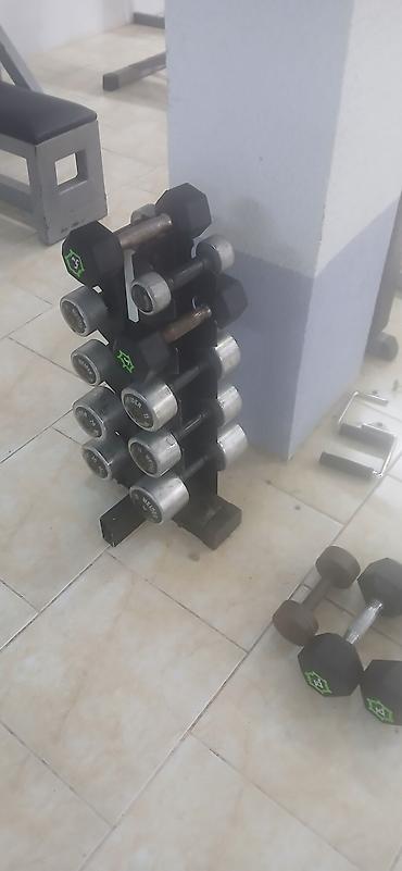 imzali forma satisi: Satılır: idman zalı üçün avadanlıq dəsti - Proteus stepper/kardio — 9