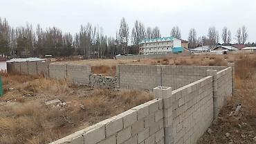 винсовхоз токмок: 5 соток — 3