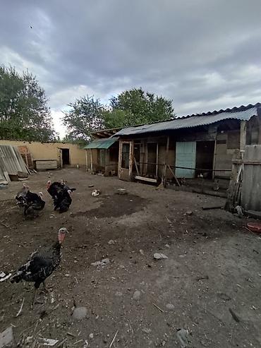карта фрунзе: 📍 В селе Савхоз-Фрунзе продается дом на участке 10 соток. 🏡Дом с — 7