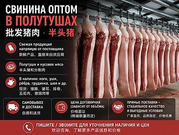 с сушкой: Продажа свинина оптом — 1
