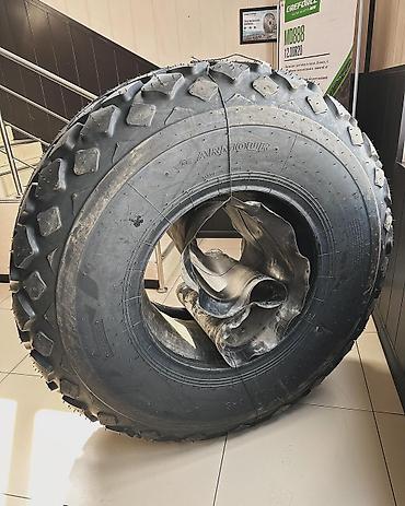 Шины: Шины R 26, Новый, С/х техника, Китай — 17