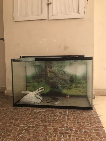 akvarium yumru: Akvaryum Eni 45 sm hündürlük 60 sm uzunluq 100 sm Işıq ve qum