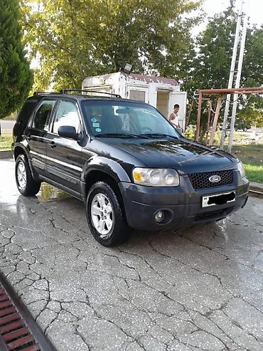 Avtomobil satışı: Ford Escape: 3 l | 2004 il 180000 km Ofrouder/SUV — 2