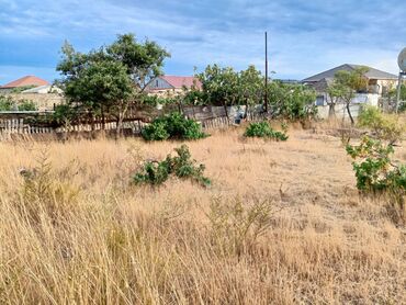 Torpaq sahələrinin satışı: 9 sot, Tikinti, Mülkiyyətçi, Kupça (Çıxarış) -da lalafo.az — 11 Torpaq sahələrinin satışı: 9 sot, Tikinti, Mülkiyyətçi, Kupça (Çıxarış) — 11