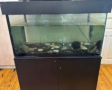 akvarium dirnaq: Akvarium-şkaf, Balıqlarla birlikdə, 200 l, Ünvandan götürmə — 3