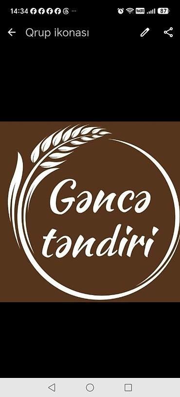 kirpi eti satisi: KASSIR Xırdalanda (Nazlı Petrol) yerləşən GƏNCƏ TƏNDİR Sexinə Təcili — 1