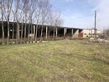 дом на ошском рынке: Ижарага Сарай берилет. 50 соток Навес Мал кармаганга, теплица, гумс