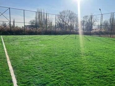 Газон: Искусственный газон Прямые поставки с завода Газон 12000 дтх 5 см — 4