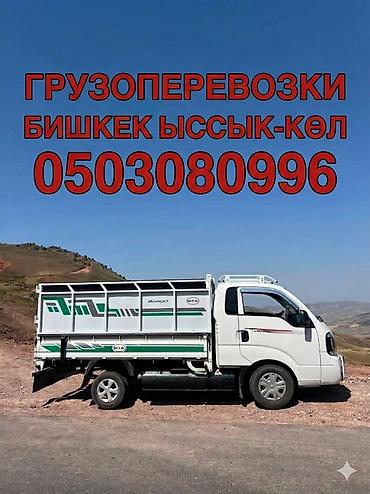Заказать Хендай портер, Вывоз строй мусора, C грузчиком