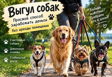белый котенок: Услуга: выгул собак - Профессиональный выгул собак любой породы и — 1