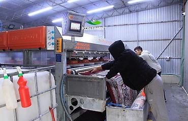 Стирка ковров: Стирка ковров, | Ковер — 9