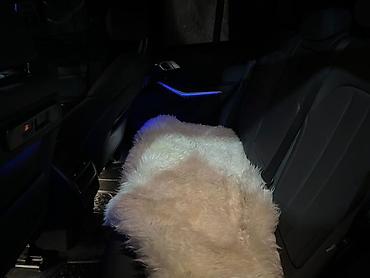 BMW: BMW X5 M: 2019 г., 3 л, Автомат, Бензин, Кроссовер — 11